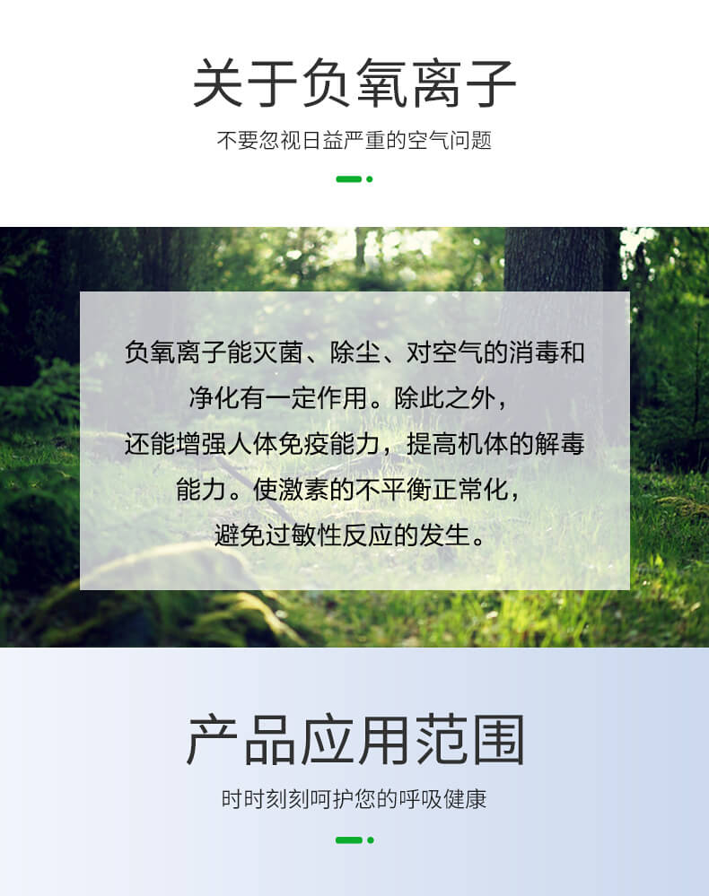 便攜式負(fù)離子檢測儀