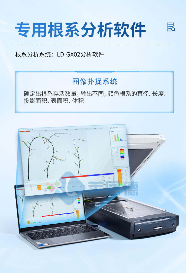 植物根系圖像分析儀