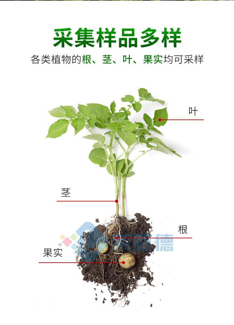 植物病蟲害診斷儀