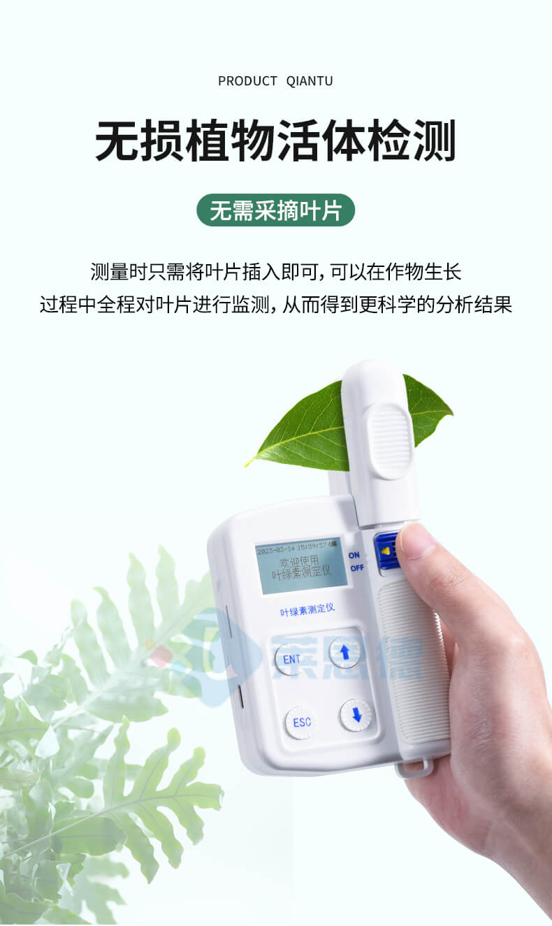 活體葉綠素測(cè)定儀