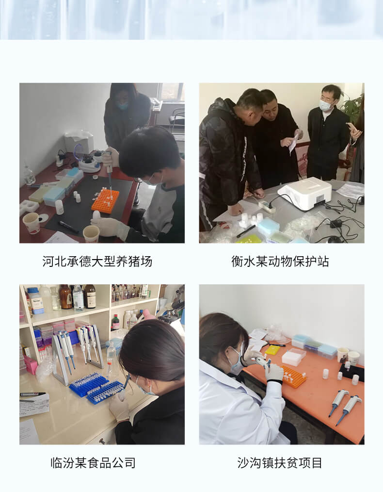 非洲豬瘟檢測儀