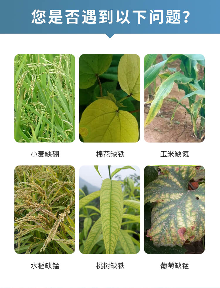 土壤微量元素測試儀