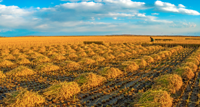土壤養(yǎng)分測試儀怎么用？（土壤養(yǎng)分測試儀的操作步驟）
