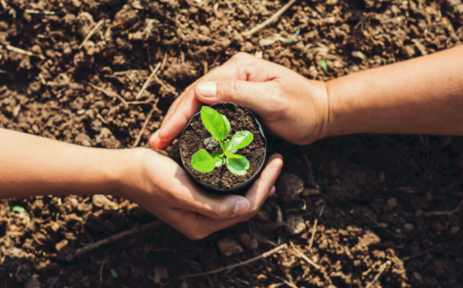 土壤水分溫度測定儀使用注意事項（專業(yè)溫度和水分測量儀速成教程）