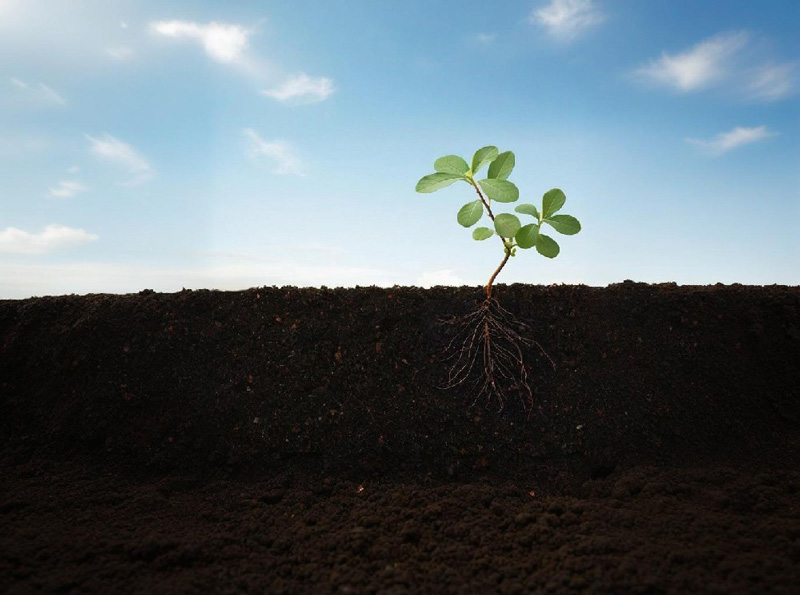 土壤檢測實驗室方案