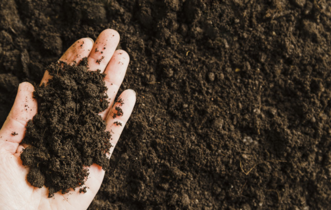 土壤緊實(shí)度-什么是土壤緊實(shí)度速測儀？