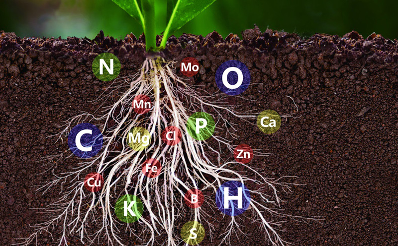土壤中氮磷鉀含量的測定，土壤氮磷鉀檢測儀快速準確