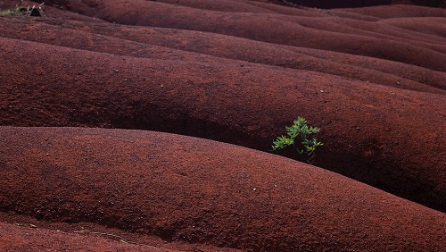 必備--土壤養(yǎng)分測(cè)定儀可助力大棚蔬菜改良土壤