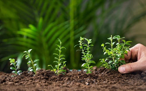土壤養(yǎng)分快速檢測(cè)儀判斷養(yǎng)分盈虧