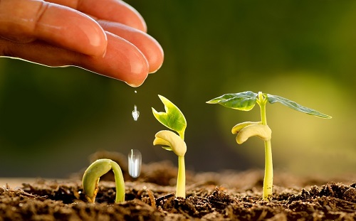 綠化種植土壤需要哪些檢測項(xiàng)目？