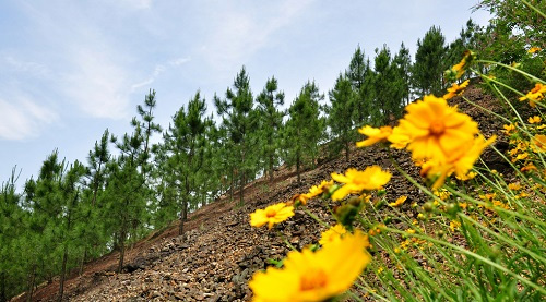 土壤養(yǎng)分速測儀掌握農(nóng)田的墑情 有利于提高作物的產(chǎn)量和品質(zhì)