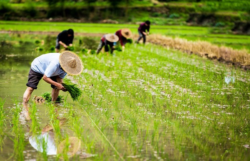 4個(gè)方法，提示你土壤鹽分速測儀的選擇技巧