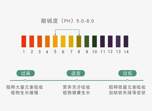 應(yīng)用土壤pH速測儀加強(qiáng)土壤檢測