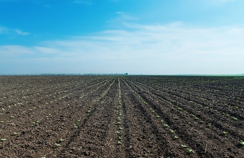 土壤測試儀對耕地土壤環(huán)境改善的重要作用