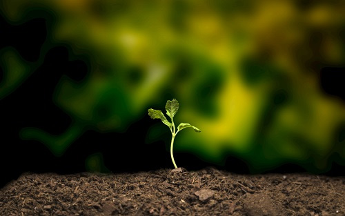 指導(dǎo)農(nóng)民合理施肥---土壤養(yǎng)分檢測儀的功能、作用概述