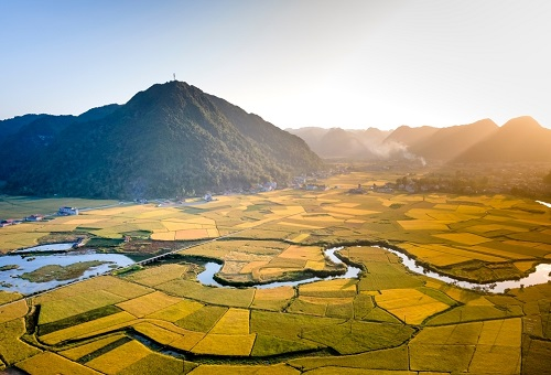 土壤水分溫度與植物的關(guān)系-便攜式土壤水分溫度速測(cè)儀