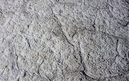 土壤肥料檢測(cè)儀：科學(xué)用肥減少土壤鹽堿化