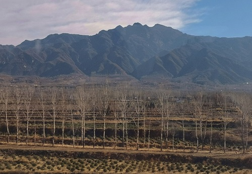 應(yīng)用測土儀知土懂施肥，提供可靠的參考