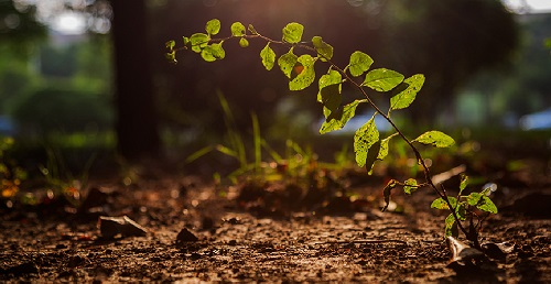 應(yīng)用土壤儀器實(shí)現(xiàn)土壤的可持續(xù)性利用