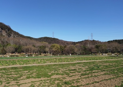 土壤測試儀在土壤肥力恢復(fù)中的應(yīng)用