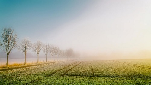 檢測土壤養(yǎng)分缺失就用測土配方施肥儀-精準(zhǔn)施肥
