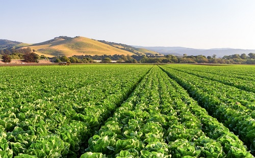 運(yùn)用土壤養(yǎng)分測試儀進(jìn)行土壤營養(yǎng)分析的重要性
