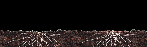 土壤肥料檢測儀讓土壤肥沃又增產(chǎn)