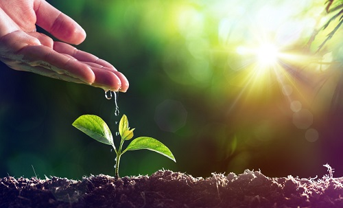 土壤墑情監(jiān)測系統(tǒng)為農(nóng)業(yè)計(jì)劃灌溉提供技術(shù)支持