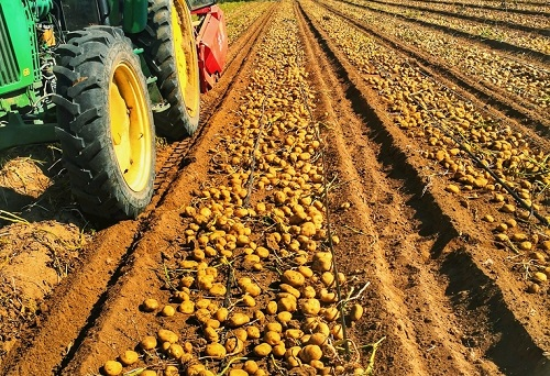 土壤水分測定儀對于現(xiàn)代農(nóng)業(yè)發(fā)展產(chǎn)生的積極作用