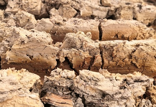 土壤墑情測定儀是研究土壤墑情的重要設(shè)備