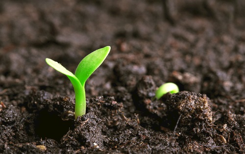 測土儀是解決作物需肥和土壤供肥矛盾的關(guān)鍵橋梁