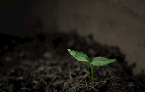 土壤墑情監(jiān)測系統(tǒng)能夠輕松化解作物需水和補(bǔ)水之間的矛盾