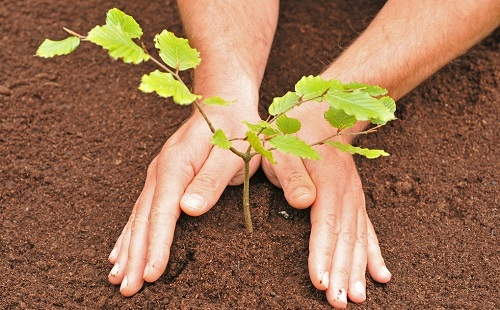 土壤水分檢測的幾種方法介紹,最后一種最直接