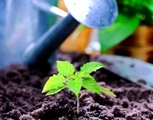 土壤水分溫度測定儀能有效提高作物產(chǎn)量品質