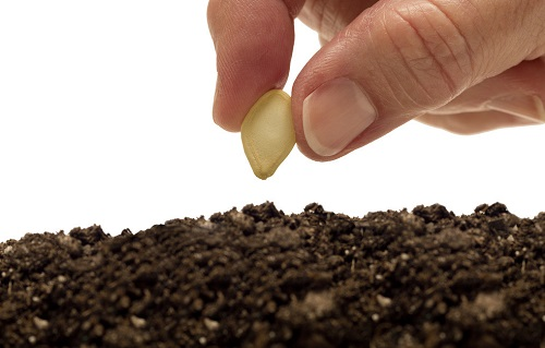 利用土壤養(yǎng)分快速測試儀科學減“肥”才是關鍵