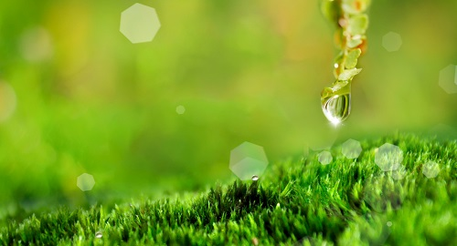 為什么說無線土壤墑情監(jiān)測系統(tǒng)是農(nóng)業(yè)墑情監(jiān)測的理想之選？