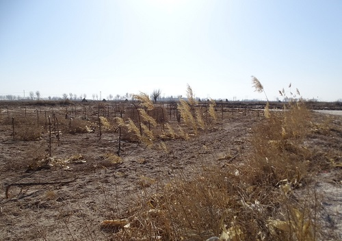 土壤鹽分儀可以協(xié)調(diào)土壤與作物生長(zhǎng)之間的關(guān)系，及時(shí)解決土壤鹽漬化問(wèn)題