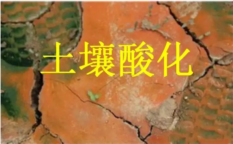 識(shí)別土壤“病”，土壤測(cè)試儀器是如何提高土壤免疫力的？