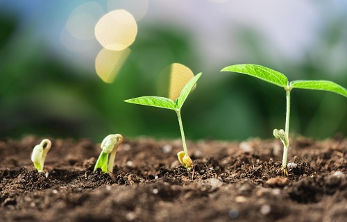 土壤墑情在線監(jiān)測(cè)系統(tǒng)哪個(gè)品牌好？有什么優(yōu)勢(shì)？