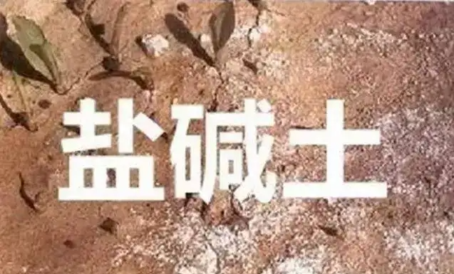 作物為什么生長(zhǎng)不健康，用土壤EC計(jì)測(cè)測(cè)便知