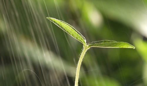 土壤水分測試儀-土壤水分儀的操作使用