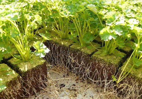 土壤團粒結(jié)構(gòu)分析儀使用方法，土壤顆粒組成測定對土壤的意義