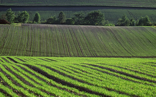 土壤檢測(cè)需要哪些土壤檢測(cè)儀器？