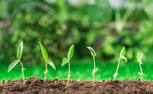 農(nóng)業(yè)領(lǐng)域?yàn)槭裁匆褂猛寥利}分計(jì)測(cè)量土壤鹽分？