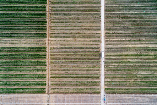 土壤養(yǎng)分測試儀的用途有哪些，它的使用效果怎么樣