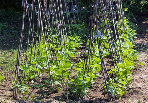 觀測土壤溫濕變化，首推土壤墑情測量儀
