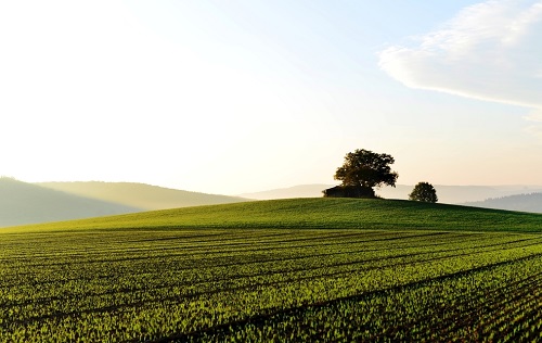 如何測定土壤成分（土壤條件決定植物營養(yǎng)吸收）