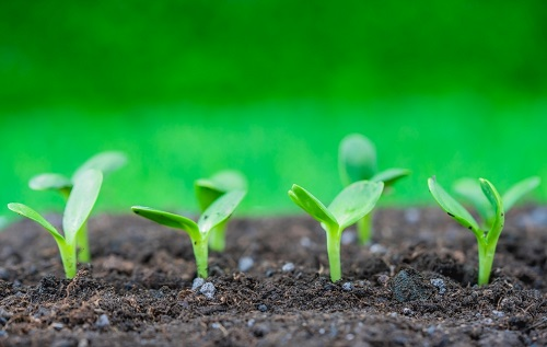 土壤酸堿度測定儀對于農(nóng)業(yè)種植而言有什么作用
