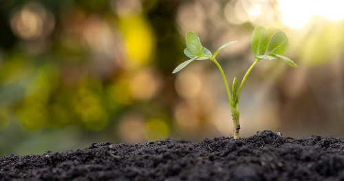 土壤水分溫度測(cè)量?jī)x，測(cè)量和記錄兩個(gè)參數(shù)