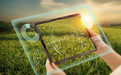 如何調(diào)節(jié)控制土壤酸堿度？土壤pH測(cè)定儀這樣調(diào)節(jié)土壤的酸堿度